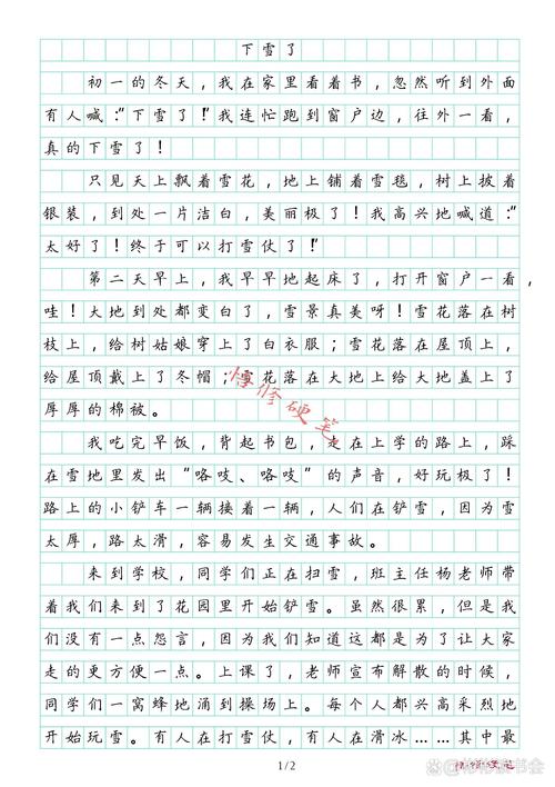 下雪了初中作文500字
