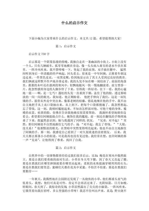什么给我的启示作文初中
