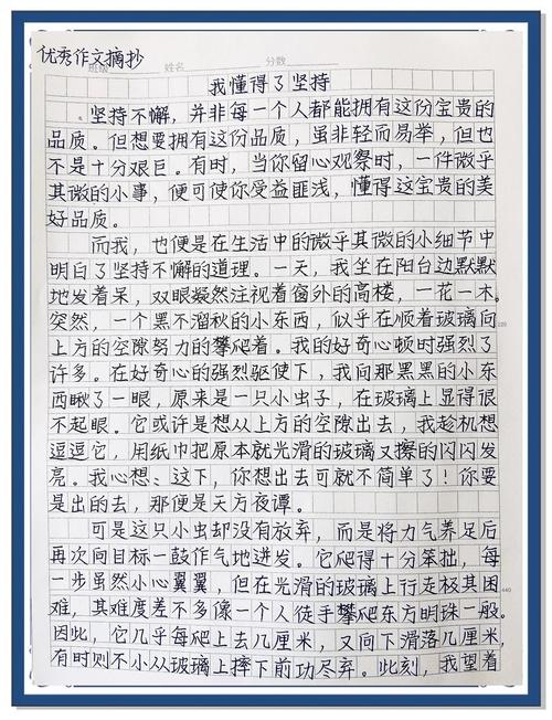 什么给我的启示作文初中