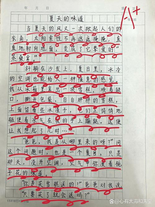 夏天的回忆作文初中作文