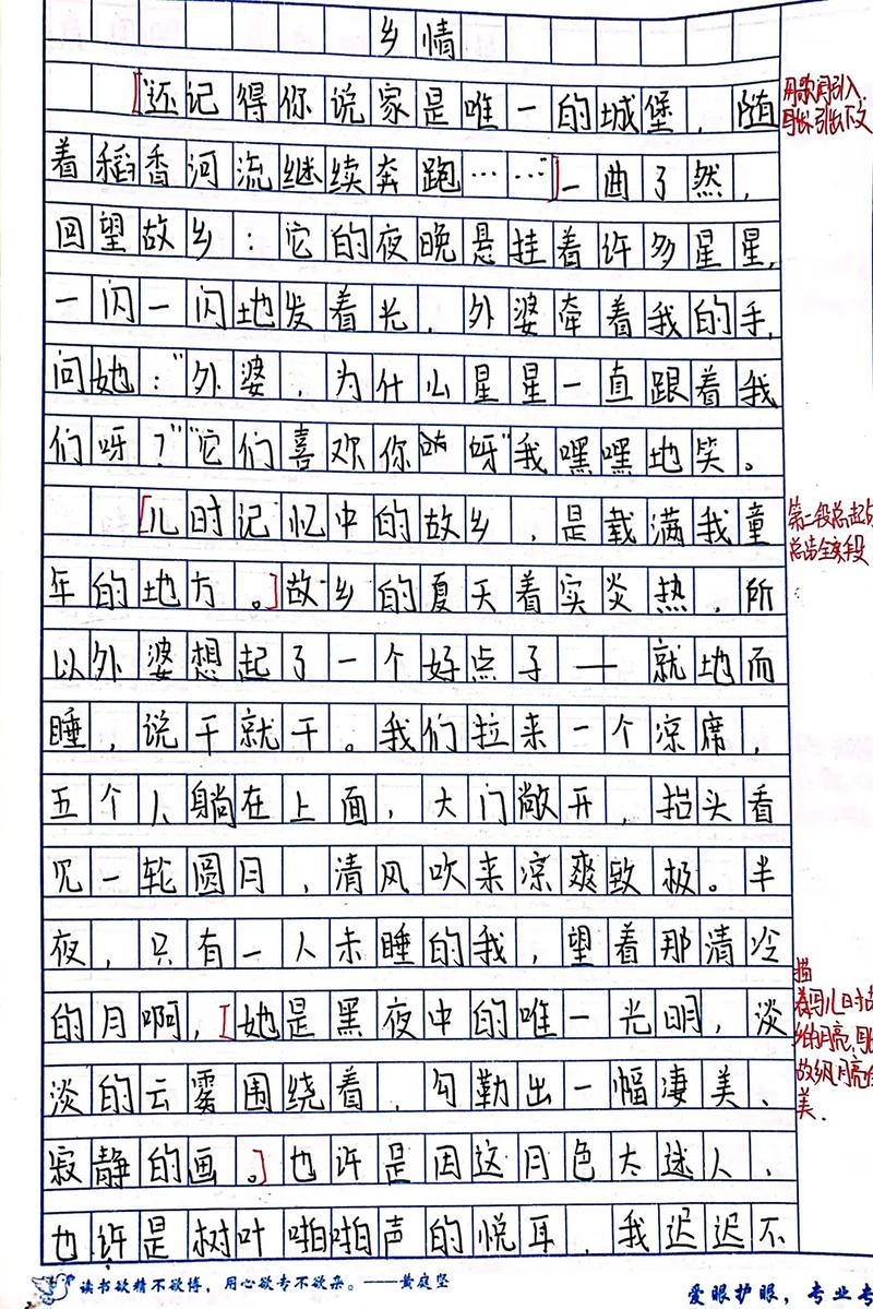踏入初中后作文400字