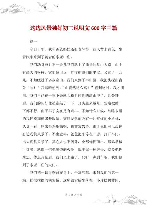 初中作文 风景这边独好