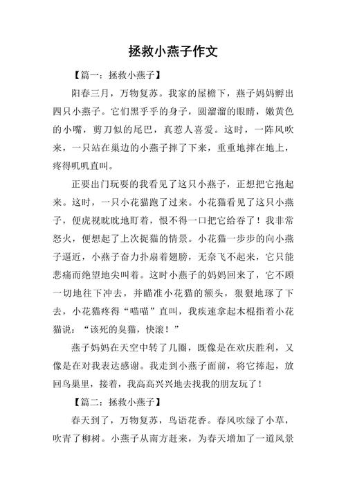 救小鸟初中作文600字