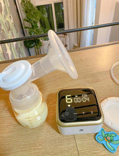 美国妈妈发明在家早教