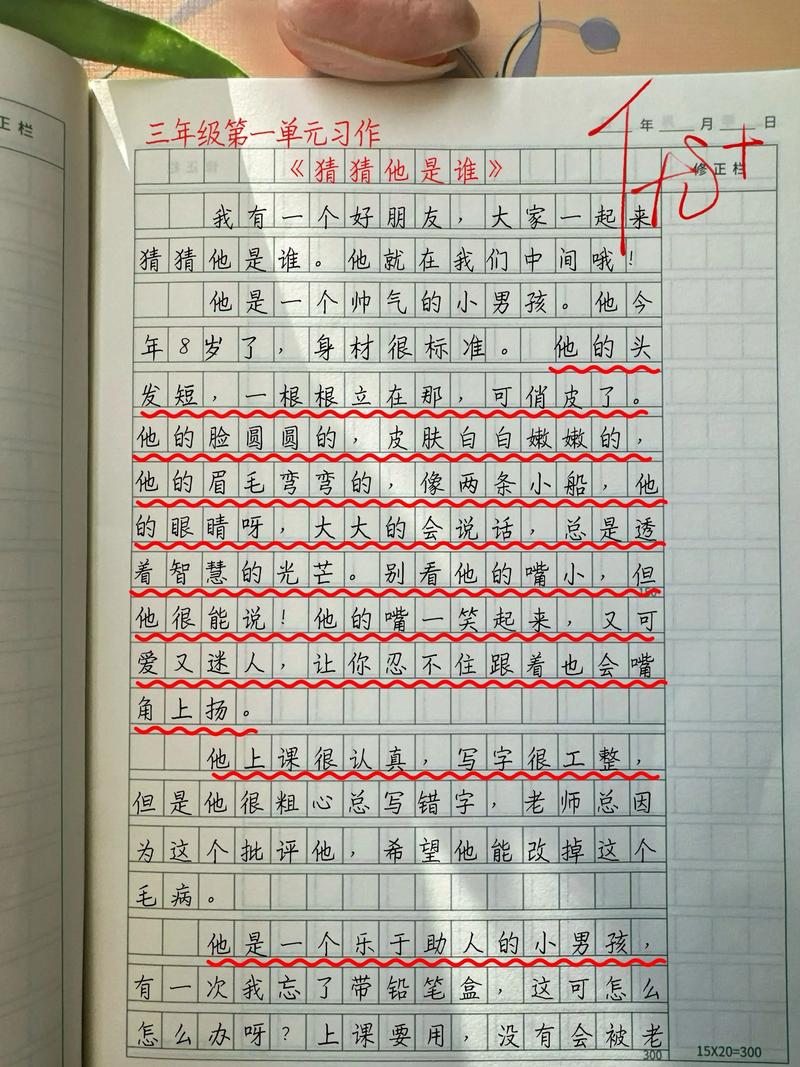 小学生三年级300字作文