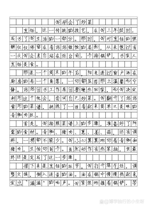小学生三年级300字作文