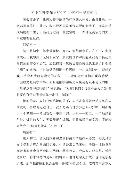 初中开学后的感受800