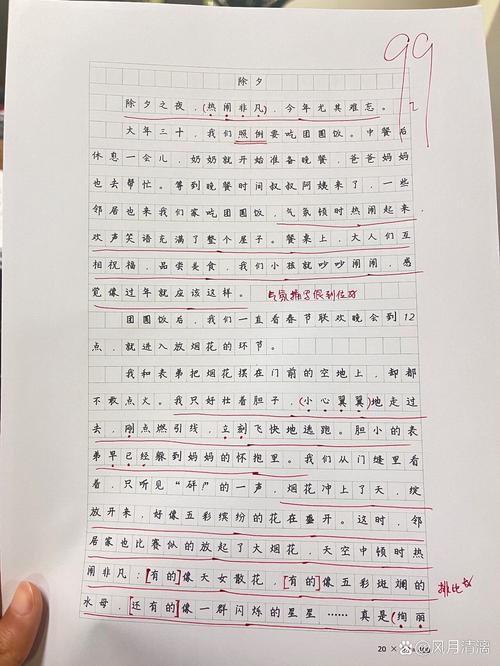 过年的作文300字初中