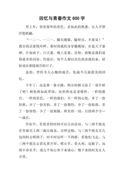 初中作文600字回忆文