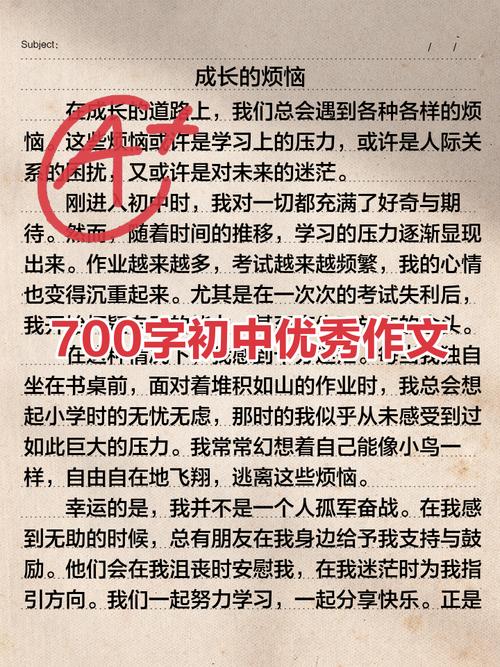 作文700字初中优秀网