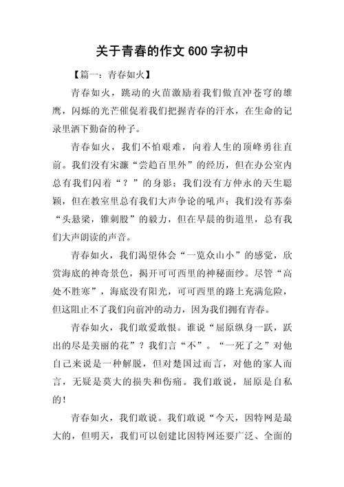 关于青春初中毕业的作文