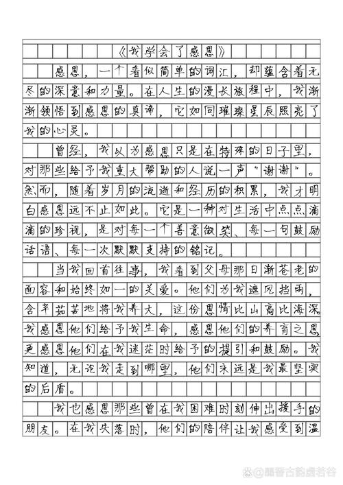 感激的初中作文600字