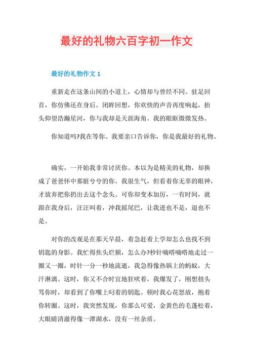 最好的礼物400字初中