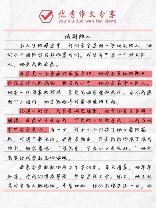 特别的人作文700初中