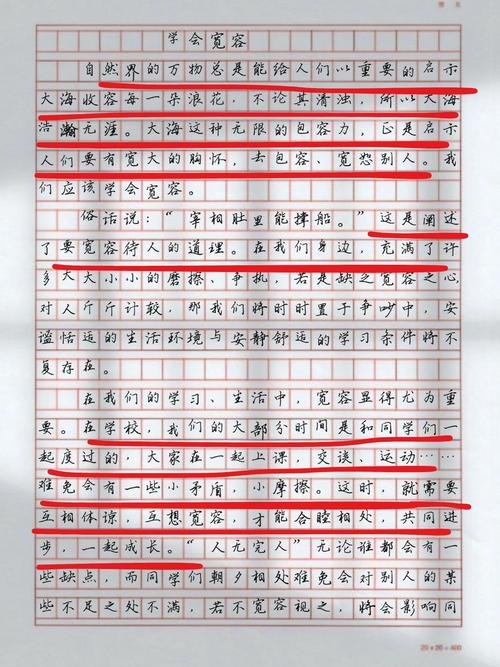 初中作文宽容的滋味作文