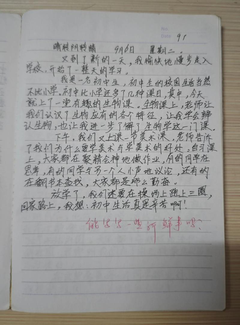 抄日记大全100字初中