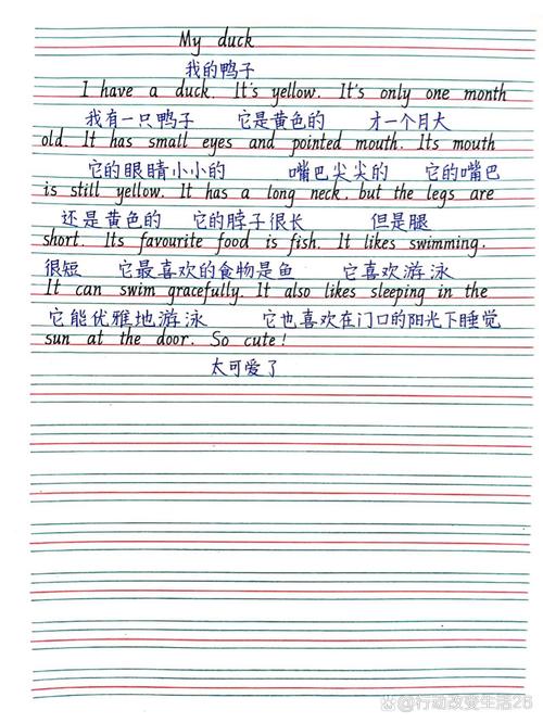 小学英语作文大全50字