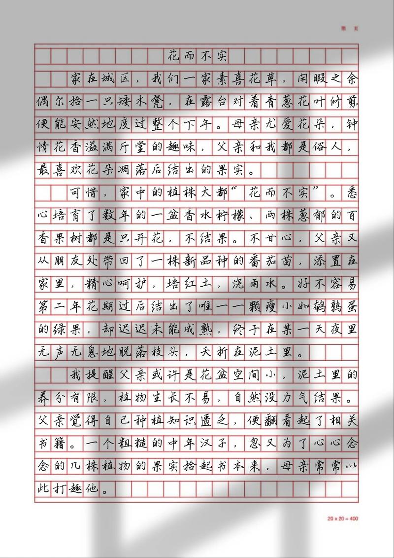 关于写实的作文初中作文