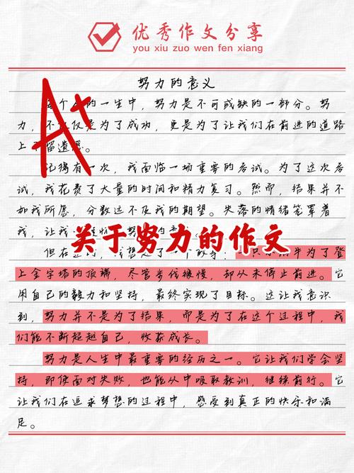 关于努力的作文初中作文