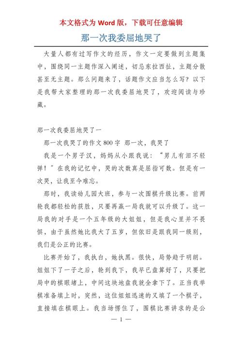 那次我哭了作文初中作文