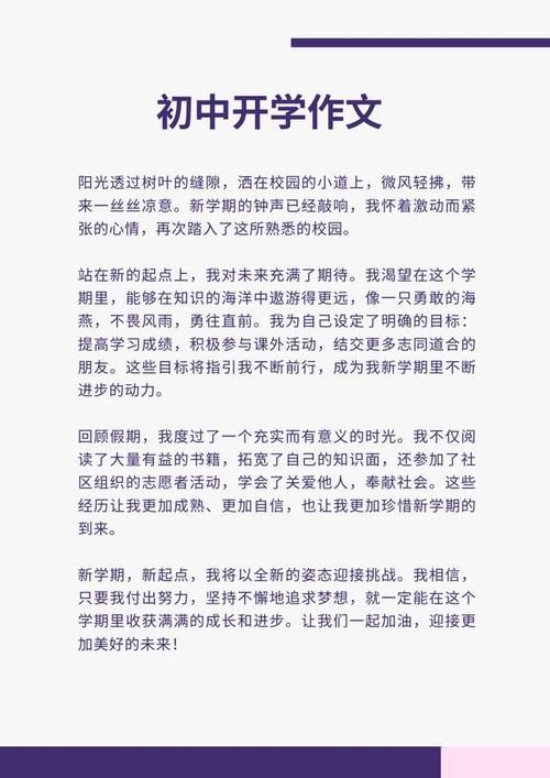 准备上初中作文600字