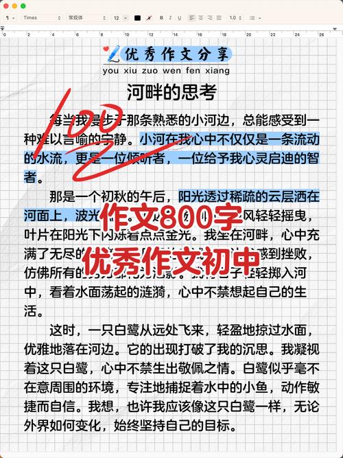 初中新印象800字作文