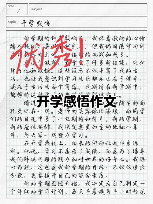 初中新印象800字作文