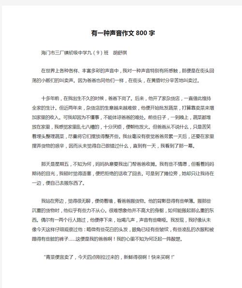 初中新印象800字作文