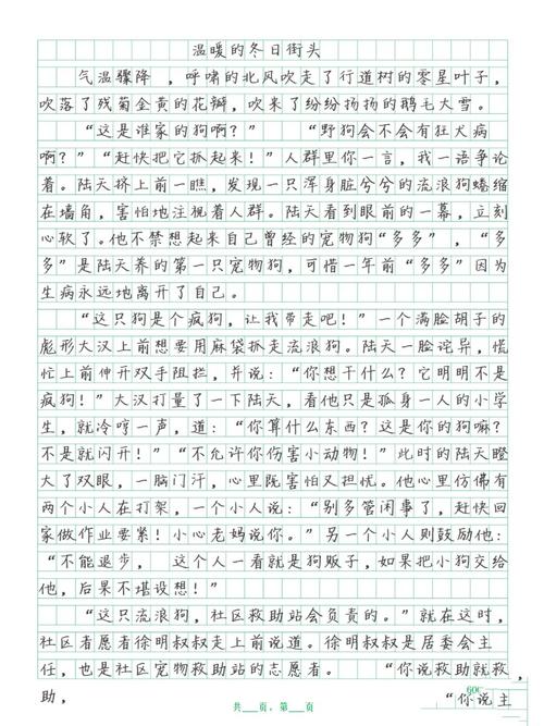 迪拜街头的风光作文初中