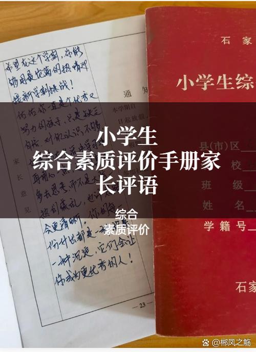 中小学教育质量综合评价