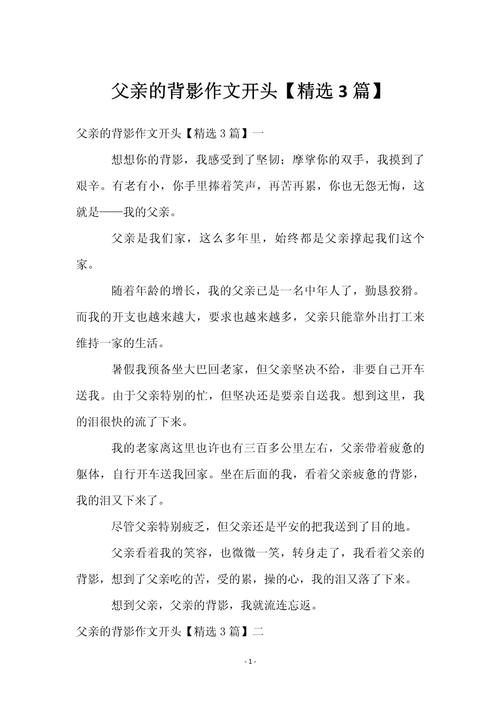 父亲的背影400字初中