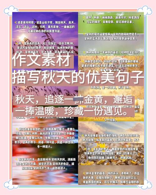 初中描写秋天的句子大全