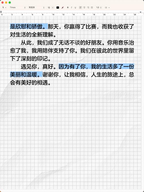 遇见你初中作文500字