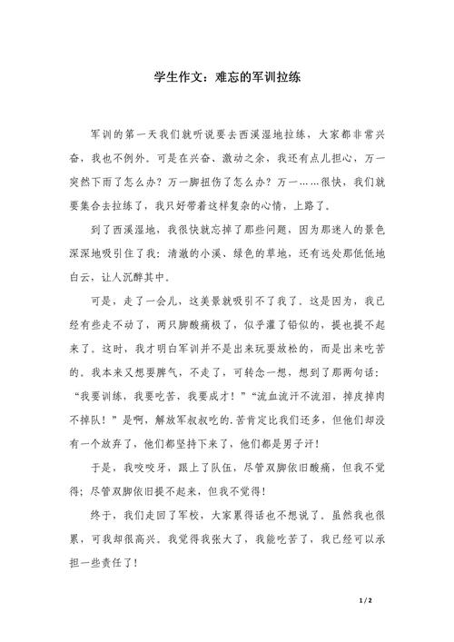 难忘的军训600字初中