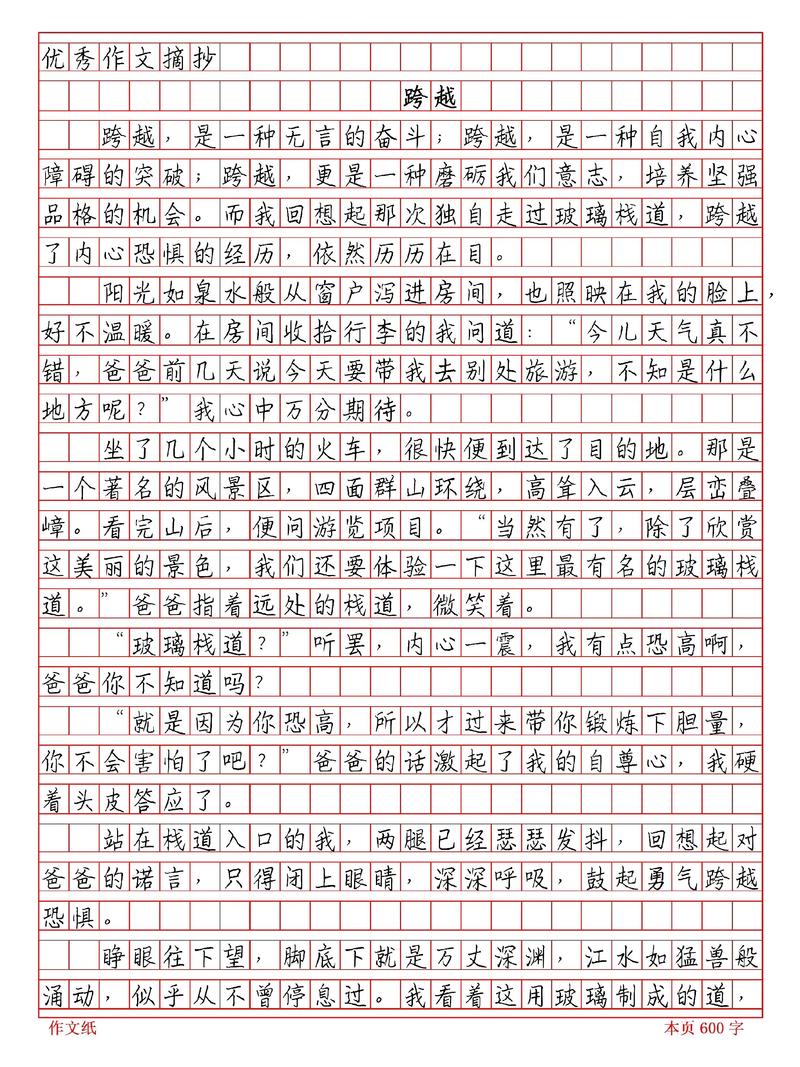 跨区初中以后作文600