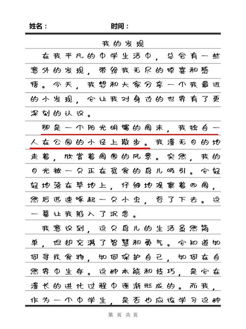 小学三年级作文我的发现