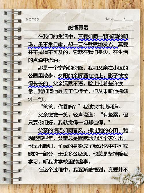 初中真爱类作文600字