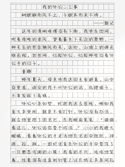 我的外公600初中作文