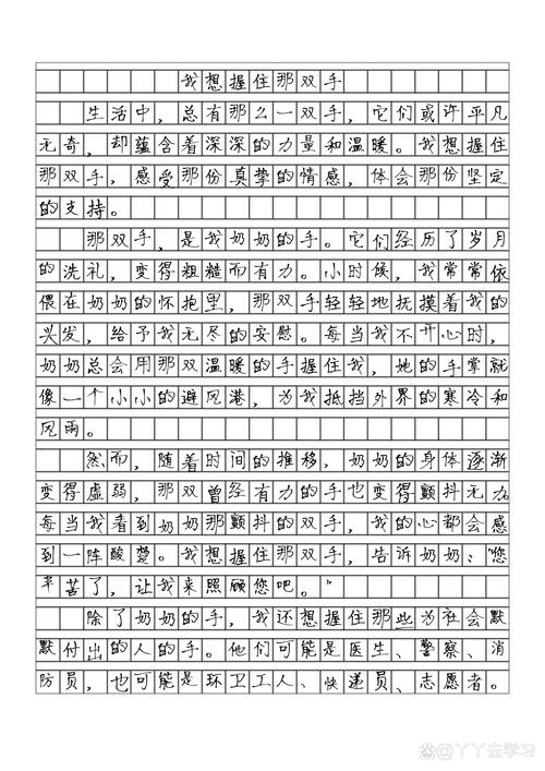 那双手650字初中作文