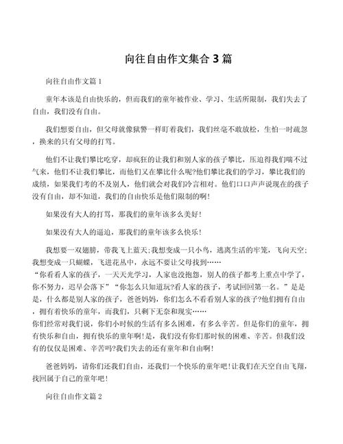 初中的向往作文500字