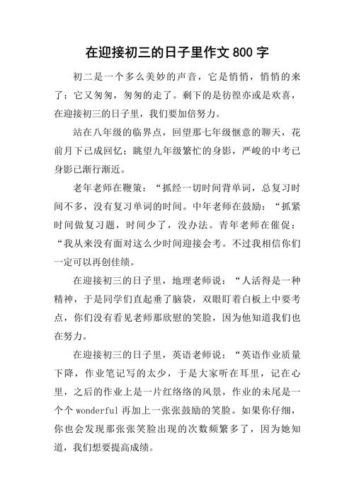 进入初中的打算800字