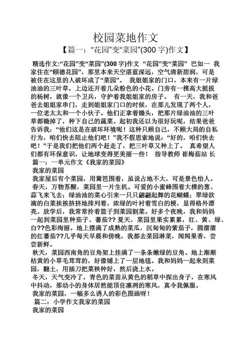 我家的菜园初中450字