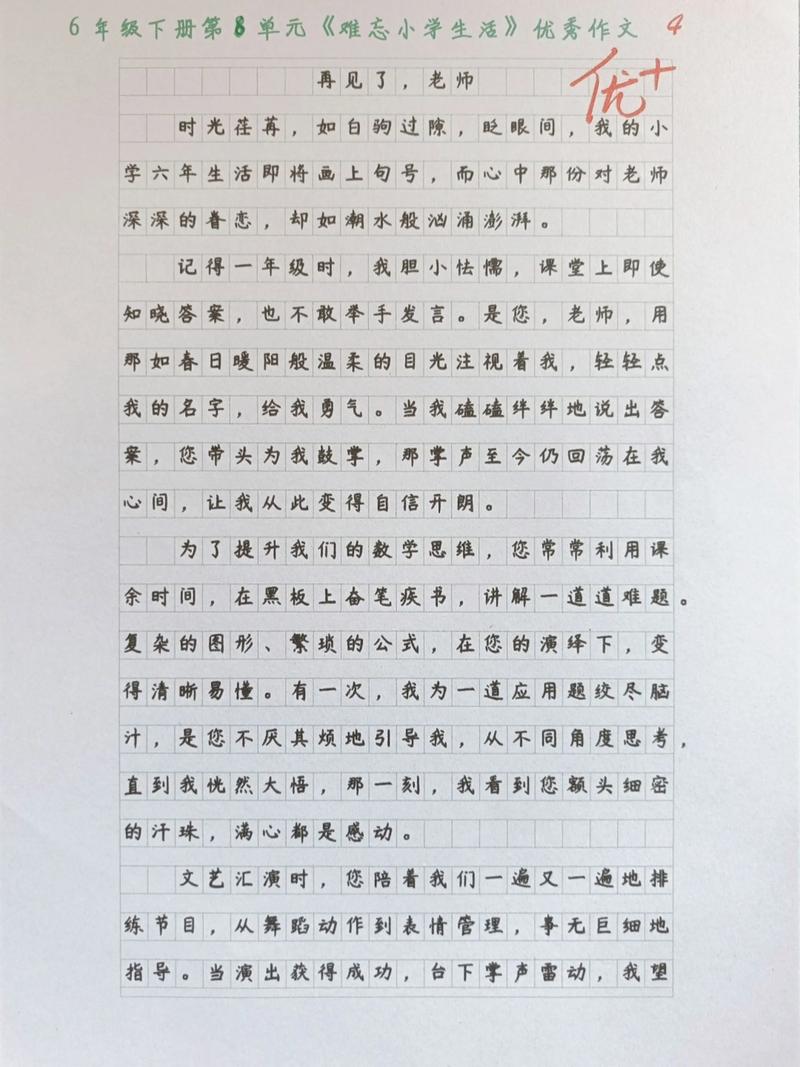 难忘小学生活作文450