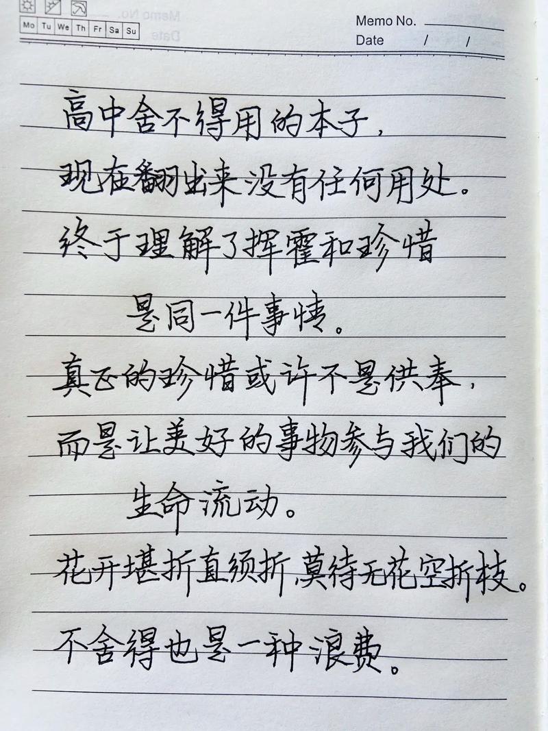 舍不得作文初中800字