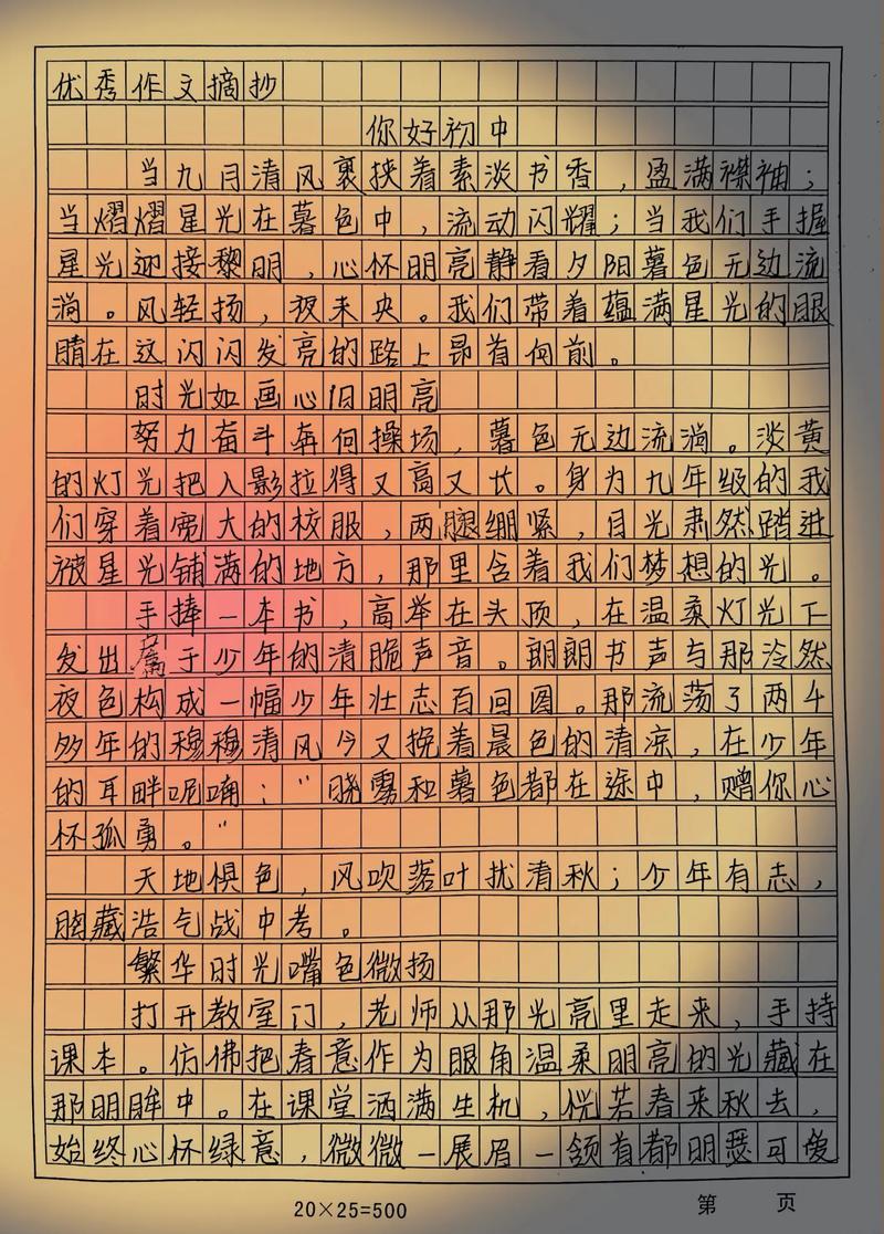 你好 我的初中500字