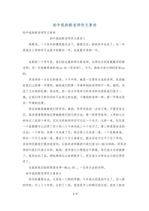 新老师600字初中作文