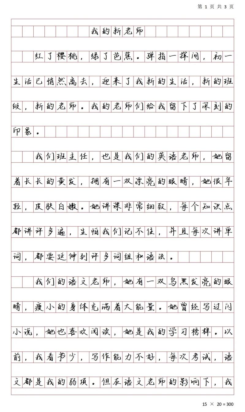 老师改变了我800初中