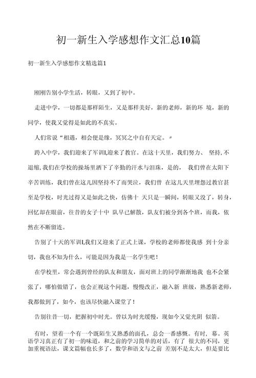 初中入学的感受600字