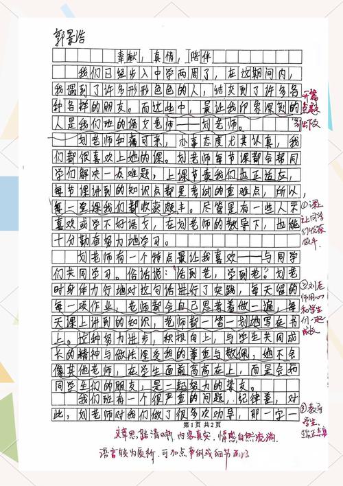 外貌描写老师的作文初中