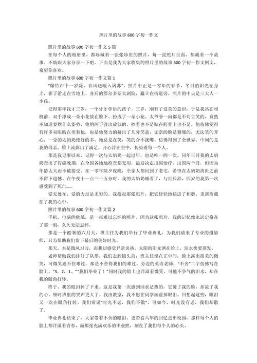 照片的作文600字初中